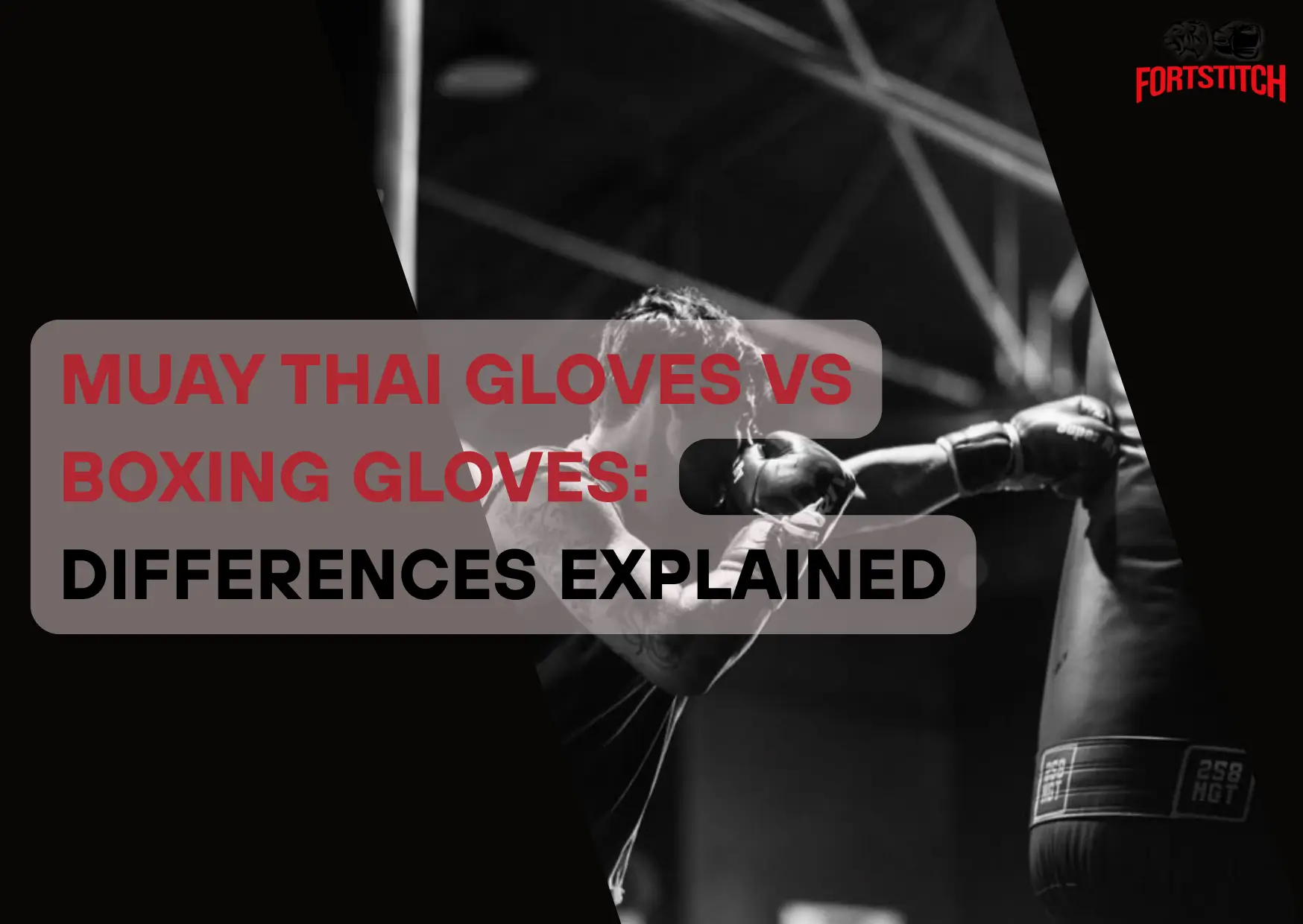 muay thai gloves vs boxing gloves
